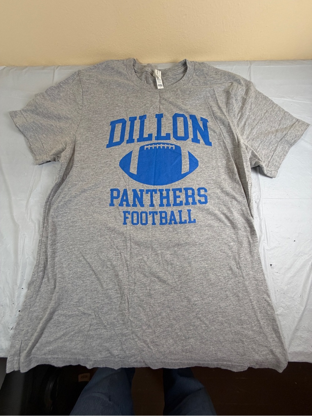 Bella Canvas Gray T-Shirt with Blue Dillon Panthers Football Print